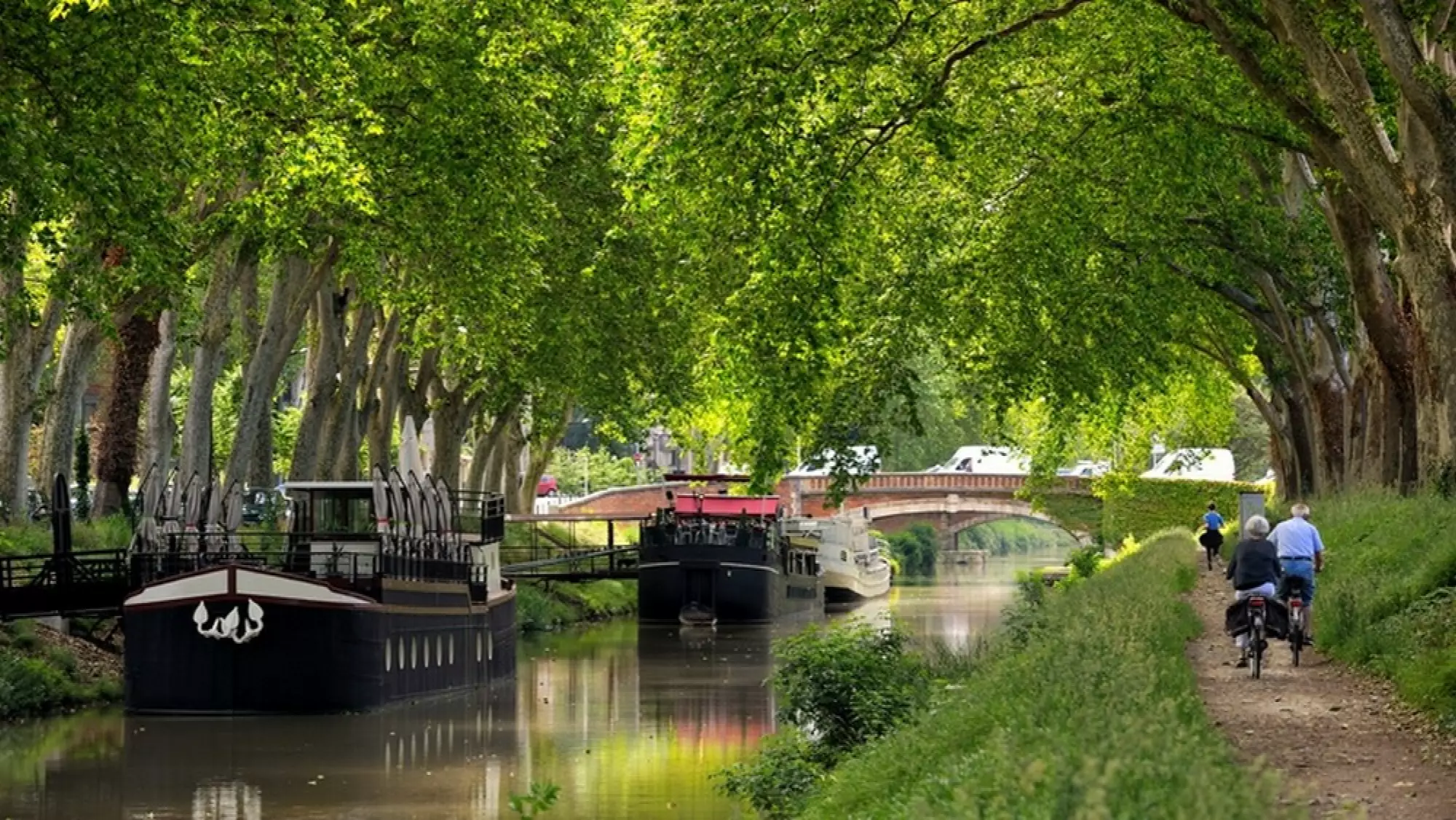 Balades sur le Canal du Midi